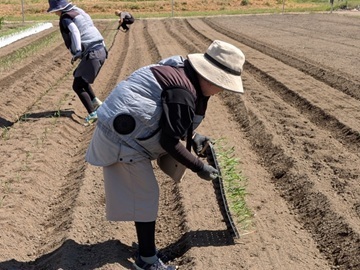 農事組合法人ハイフラワー-4