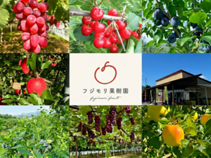 株式会社フジモリ果樹園-top