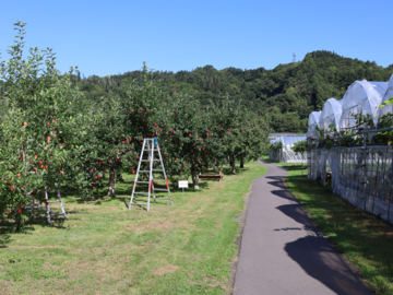 株式会社フジモリ果樹園-2