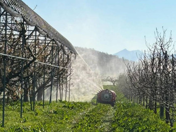 株式会社フジモリ果樹園-6