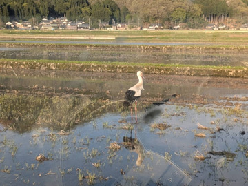 そまやまビレッジ株式会社-4