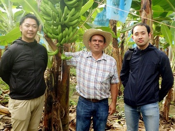 株式会社ファーマインド【東京都:輸入青果物の仕入】-2