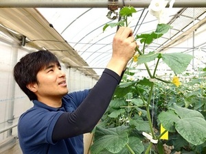 ライク・ズワーン・ブリーディング・ジャパン株式会社-top