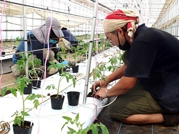 ライク・ズワーン・ブリーディング・ジャパン株式会社-2