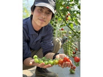 ライク・ズワーン・ブリーディング・ジャパン株式会社-5