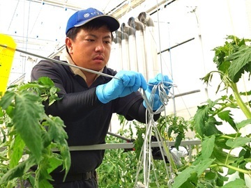 ライク・ズワーン・ブリーディング・ジャパン株式会社-1