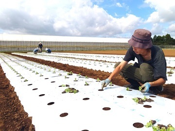 ライク・ズワーン・ブリーディング・ジャパン株式会社-8