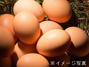 三重県鈴鹿市×養鶏/法人【43511】-top