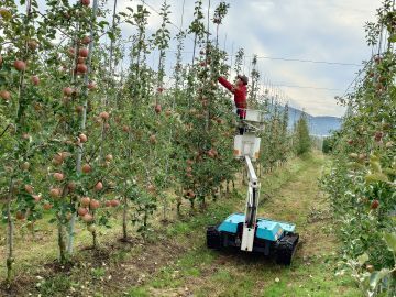 山形県・福島県×果樹/法人【39970】-1