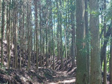 御杖村(地域おこし協力隊)-4