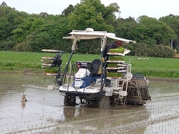 株式会社ドリームファームSAKAI-2