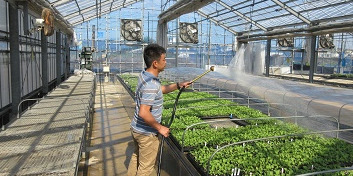 主力商品である「接木苗」の生産をはじめ、日本の農業を支えている「育苗」のお仕事です。女性スタッフが多く活躍する徳島県の会社で一緒に技術を磨いていきませんか？新卒者も大歓迎！【賞与・昇給あり！長期休暇あり！各種手当あり】