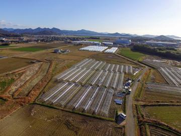 株式会社ベリーろーど-2