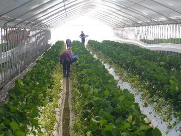 株式会社ベリーろーど-6