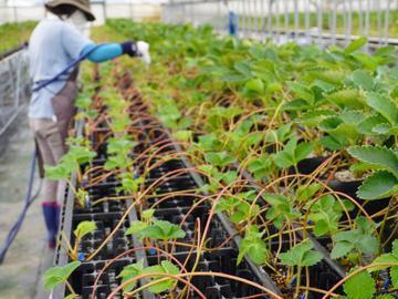 株式会社ベリーろーど-5