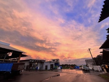 有限会社小菅牧場-3