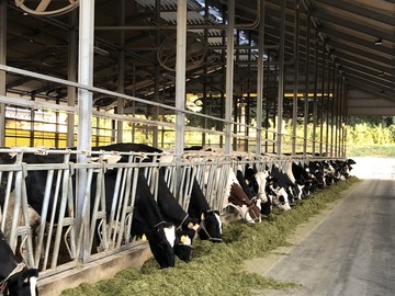 有限会社小菅牧場-5