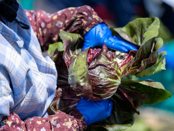 株式会社山田ファーム-3