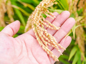 株式会社山田ファーム-4