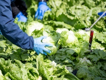 株式会社山田ファーム-2