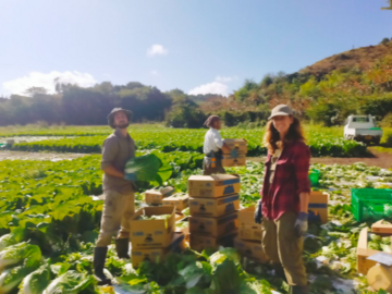 あさひや農場-2