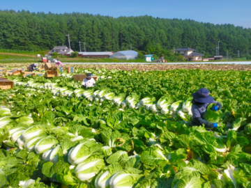 あさひや農場-3