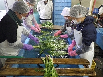 木曽町(令和8年度農業インターンシップ)-3