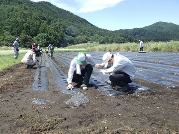 木曽町(令和8年度農業インターンシップ)-4