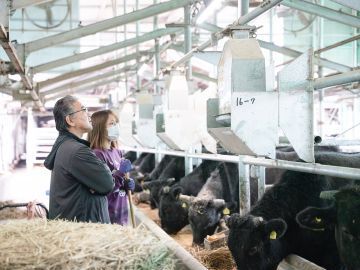 株式会社すずき牧場-1