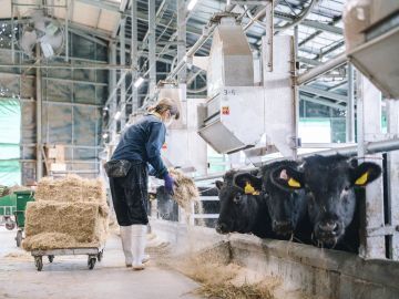 株式会社すずき牧場-4