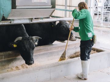 株式会社すずき牧場-7