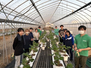 大井いちご農園-3