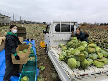 大井いちご農園-5