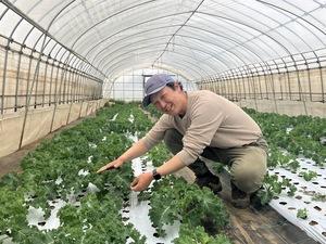 有限会社アクト農場-top