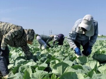 中山ファーム-4