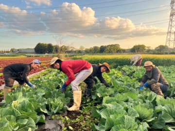 中山ファーム-8