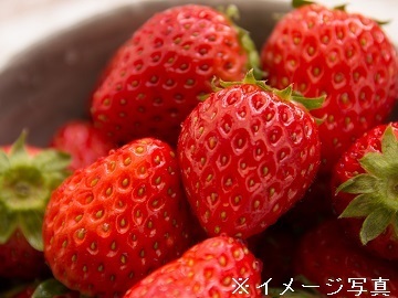 埼玉県上里町×野菜/個人【43532】-1