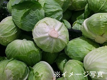 埼玉県上里町×野菜/個人【43532】-2