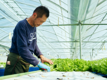 株式会社タラッサ農園-3