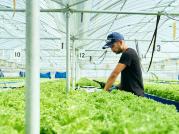 株式会社タラッサ農園-4