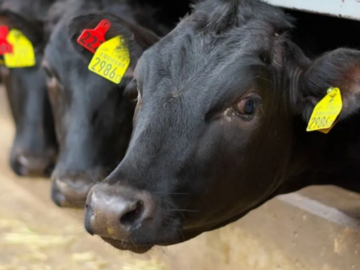 株式会社トップファーム-1