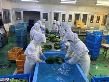 有限会社太陽ファーム-8