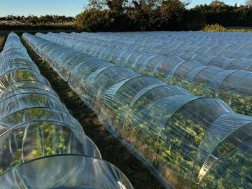 JBK FARM-4