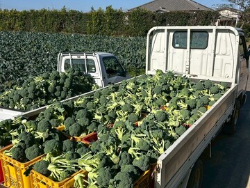 JBK FARM-8