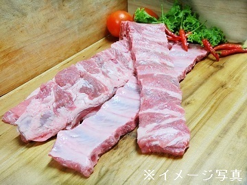 JA全農長野SPF豚繁殖センター-8