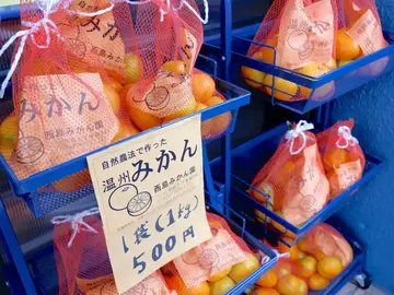 西島農園(熱海市)-4