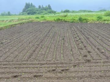 株式会社まるひろファーム-6