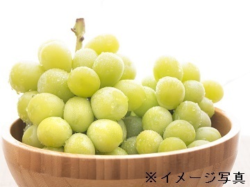 株式会社丸八一太郎青果-top