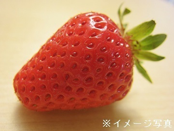 生駒いちご園-4