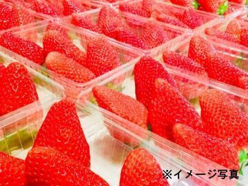 生駒いちご園-7